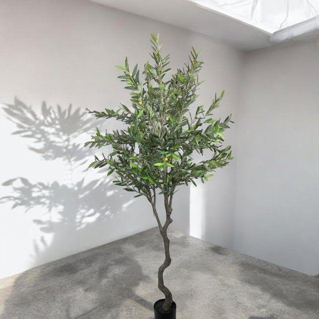 Árbol Artificial de Olivo 240cm Artificial | Estilo Natural para Interiores y Vitrinas-3