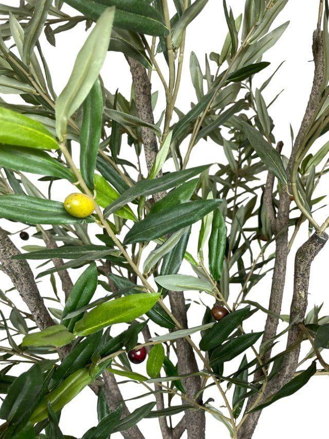 Árbol Artificial de Olivo 240cm Artificial | Estilo Natural para Interiores y Vitrinas-4