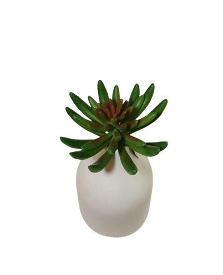 Suculenta Verde 13cm-2