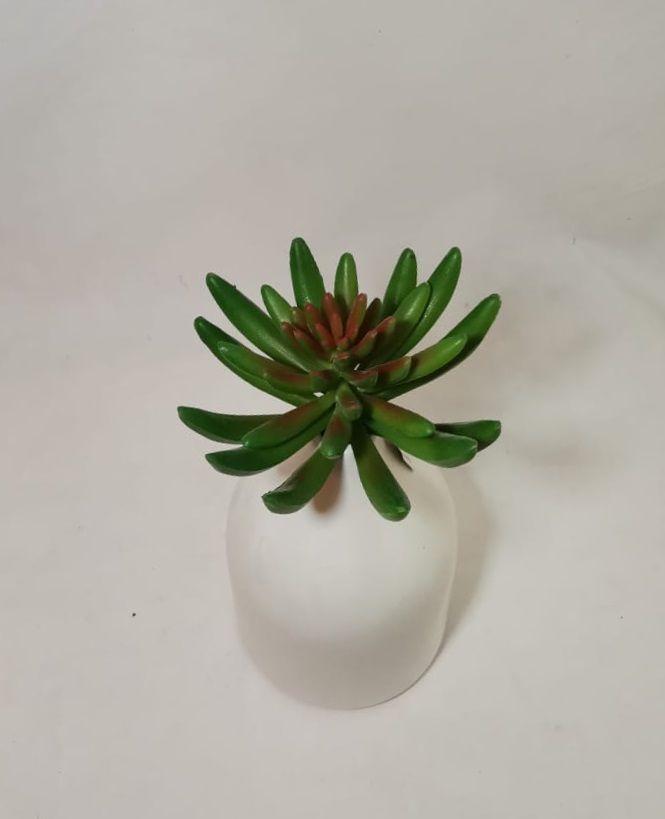 Suculenta Verde 13cm-3