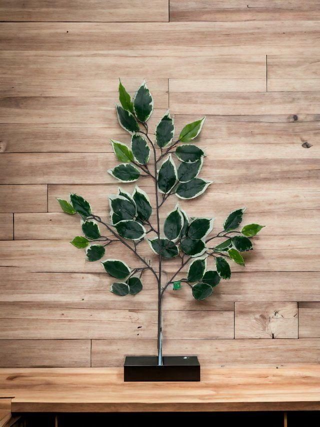 Rama Artificial De Ficus Variegada 50cm Artificial | Estilo Natural para Interiores y Vitrinas-2