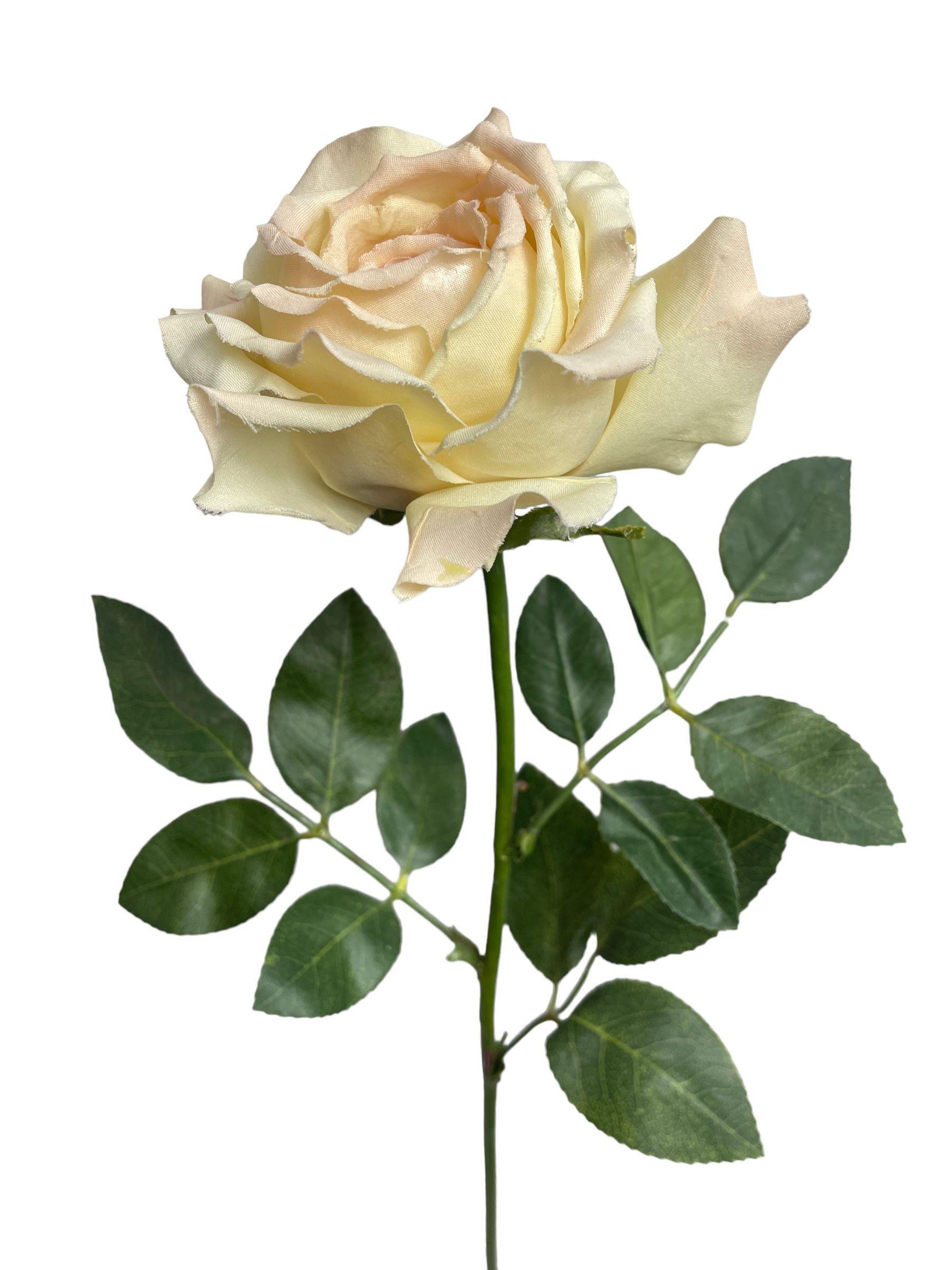 Flor Decorativa Rosa Blush 85cm-0