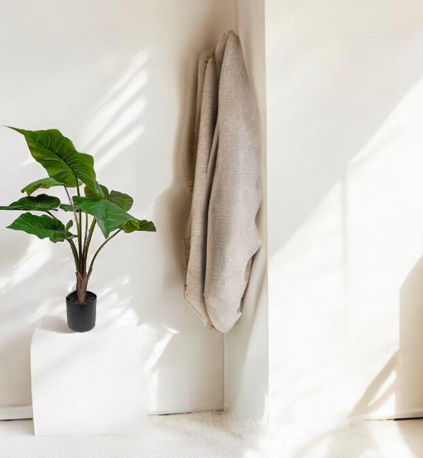 Planta Manto De Eva 71cm-3