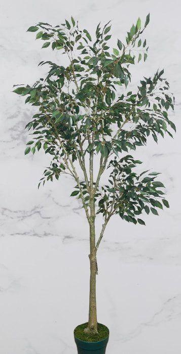 Árbol Artificial Ficus Hoja Chica 168cm Artificial | Estilo Natural para Interiores y Vitrinas-2