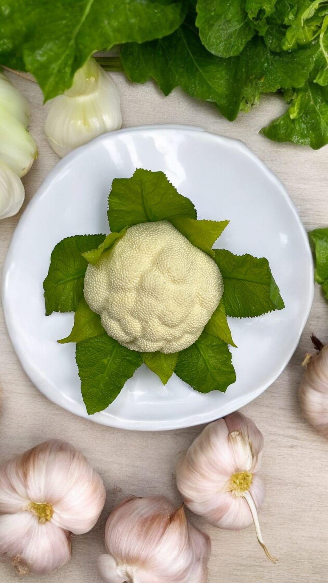 Coliflor Artificial 18cm Artificial | Estilo Natural para Interiores y Vitrinas-3