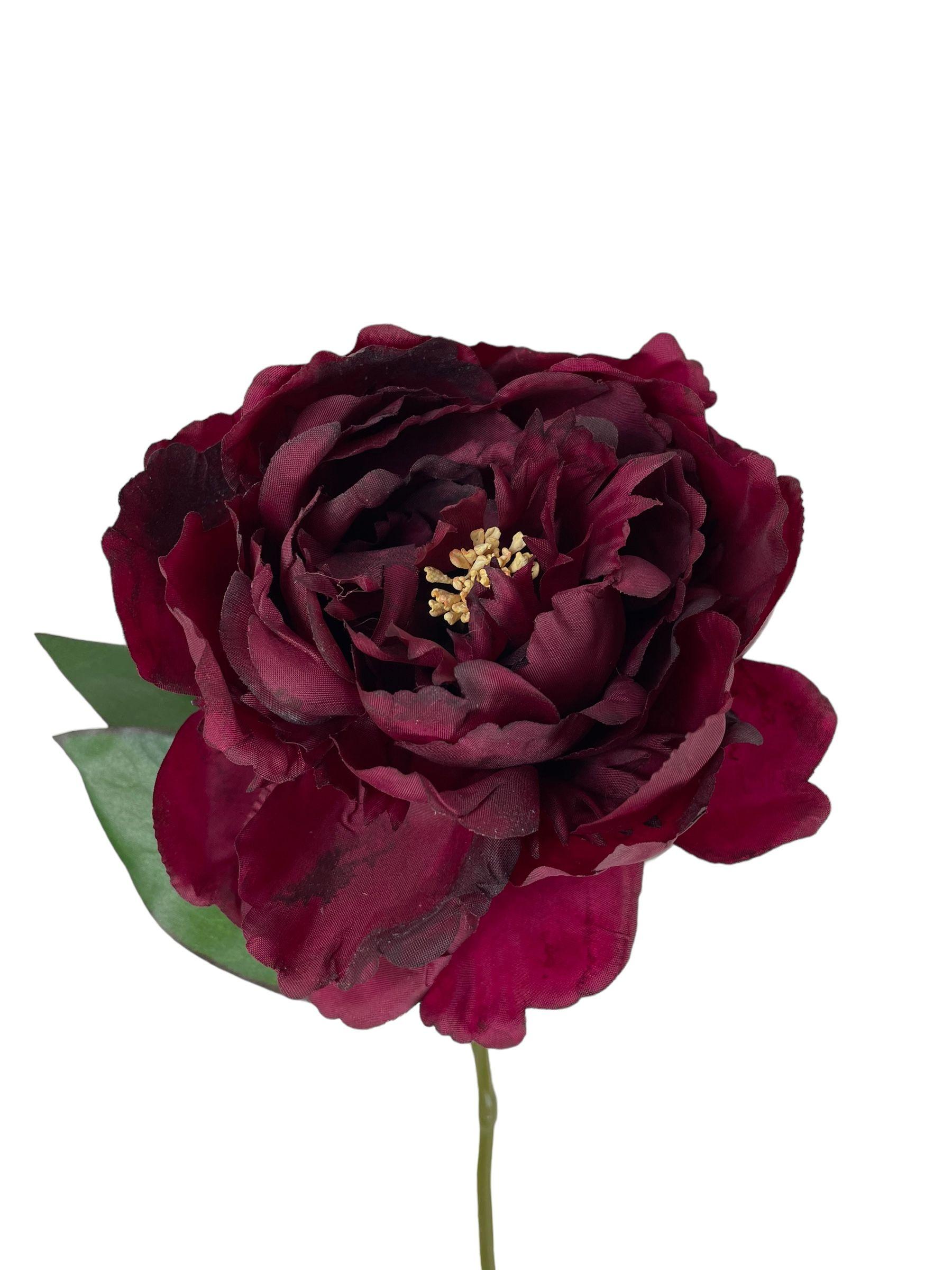 Peonia Burdeo 45cm-2