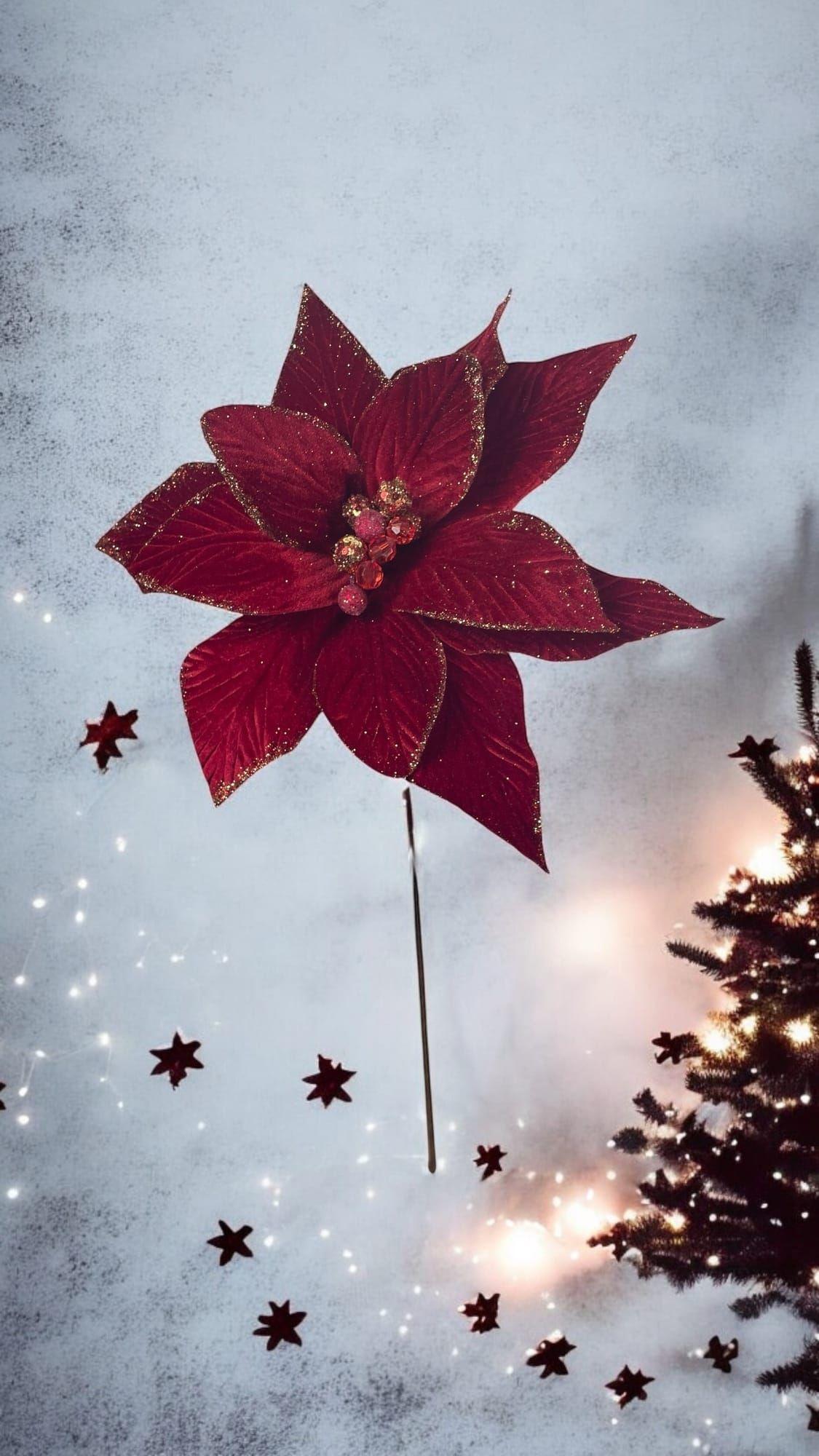 Poinsettia Roja Terciopelo 30 cm-3