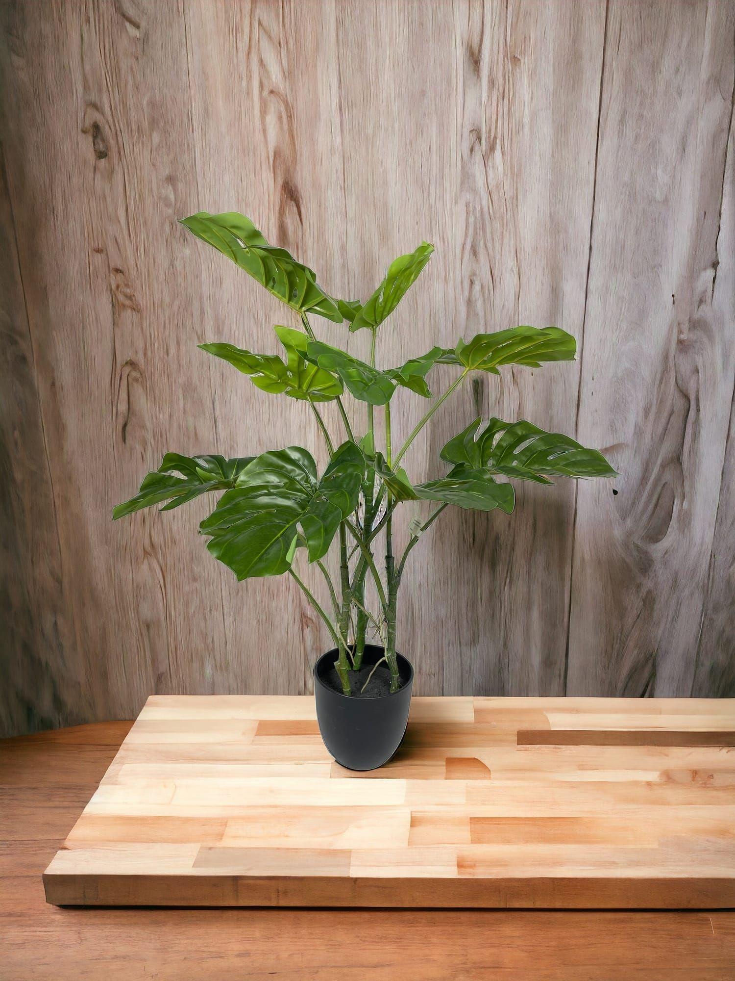 Árbol Artificial de Monstera 80cm Artificial | Estilo Natural para Interiores y Vitrinas-3