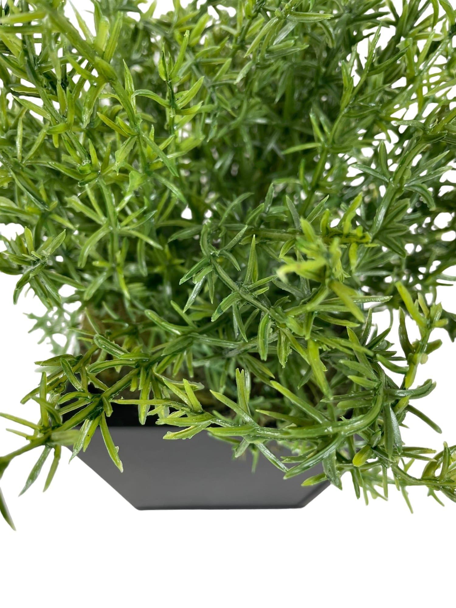 Arbusto Romero 36cm Artificial | Estilo Natural para Interiores y Vitrinas-2