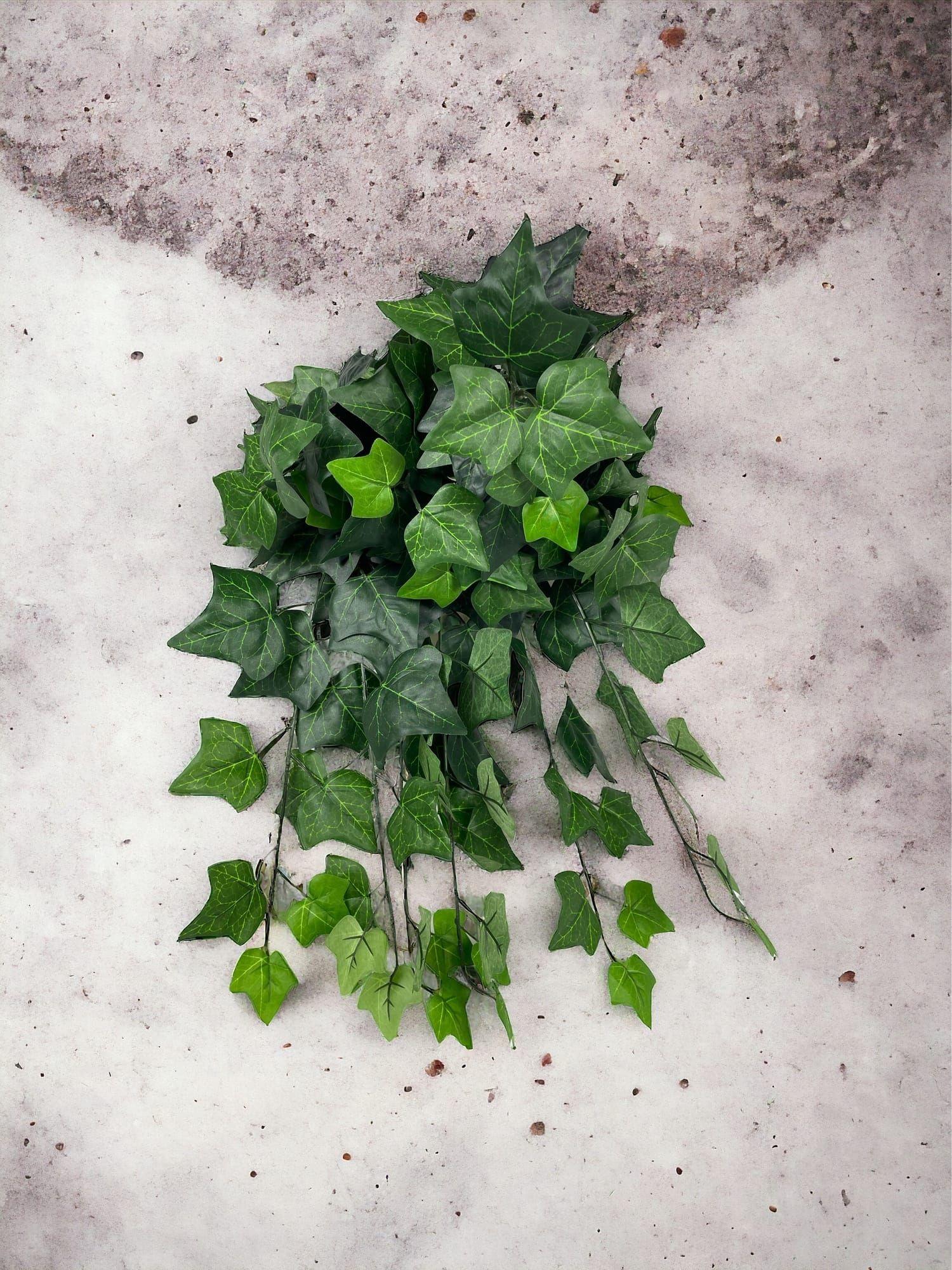 Hiedra Inglesa Deluxe 58cm UV Artificial | Estilo Natural para Interiores y Vitrinas-2