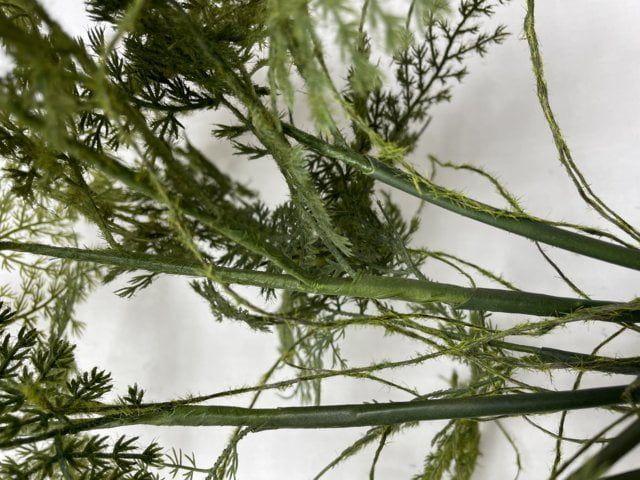 Helecho Esparagus 46cm Artificial | Estilo Natural para Interiores y Vitrinas-2