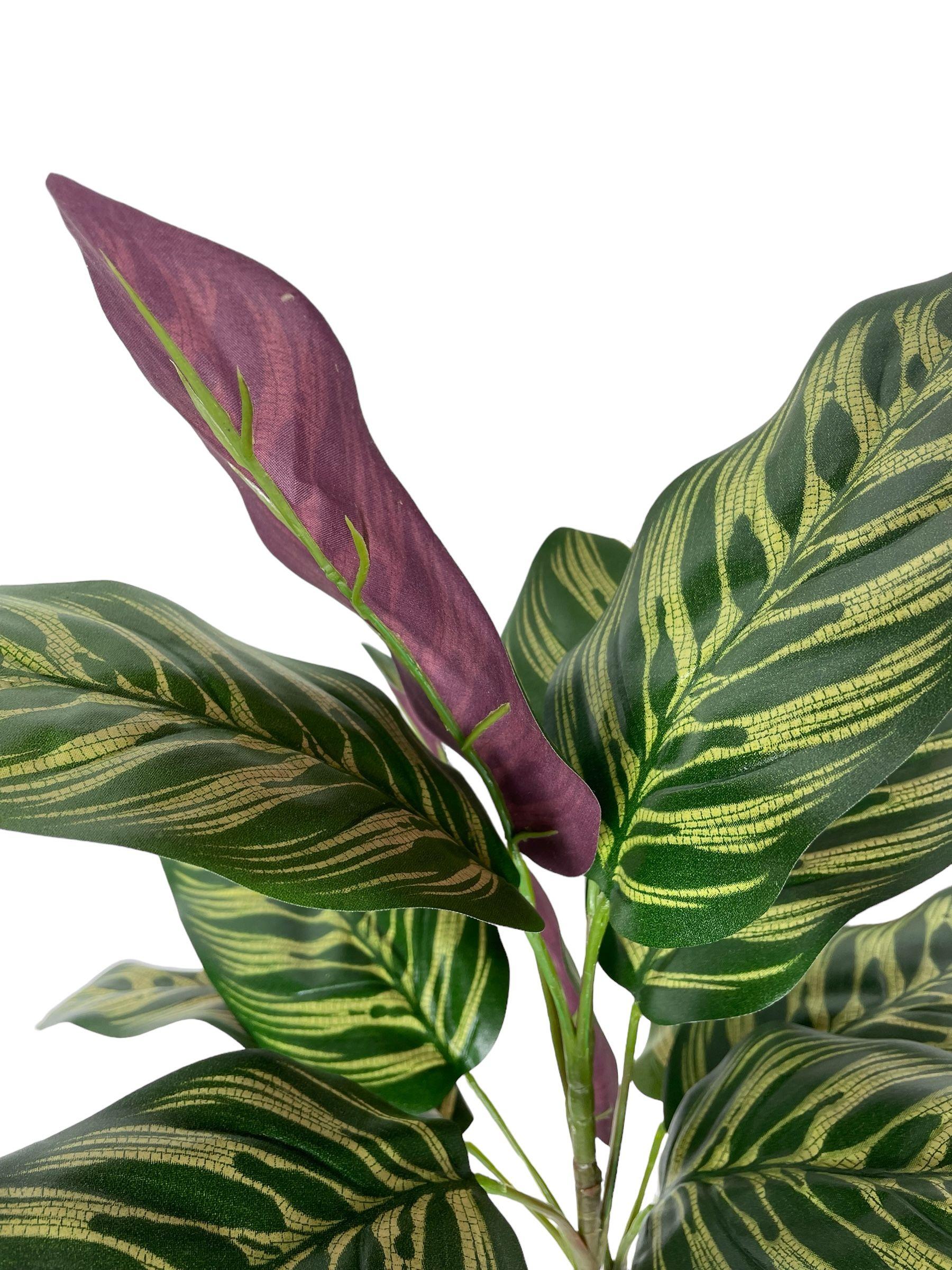 Planta Decorativa Ramo Calatea Uv 56cm-2