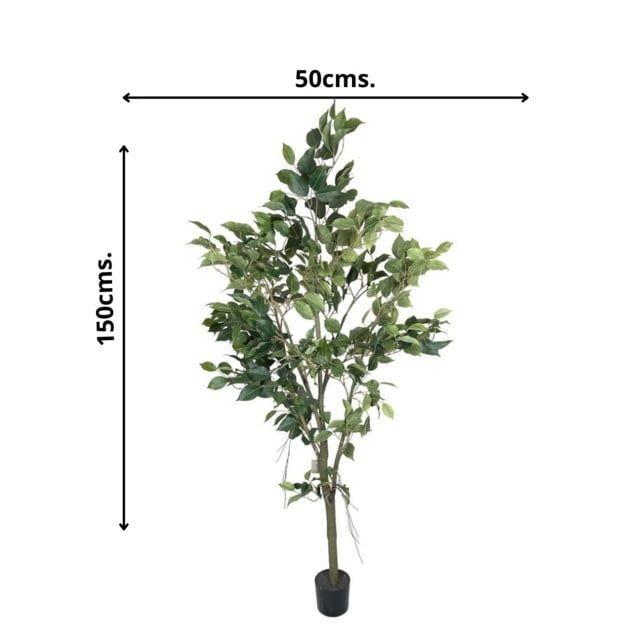 Árbol Artificial Ficus 150cm Artificial | Estilo Natural para Interiores y Vitrinas-2