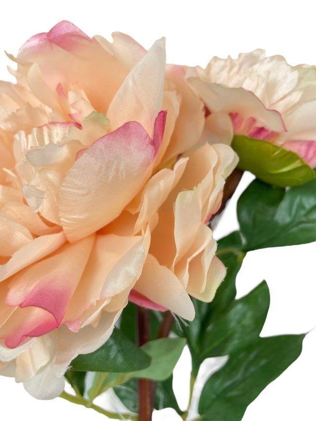 Peonia Crema/Rosa Con Botón 54cm Artificial | Estilo Natural para Interiores y Vitrinas-2