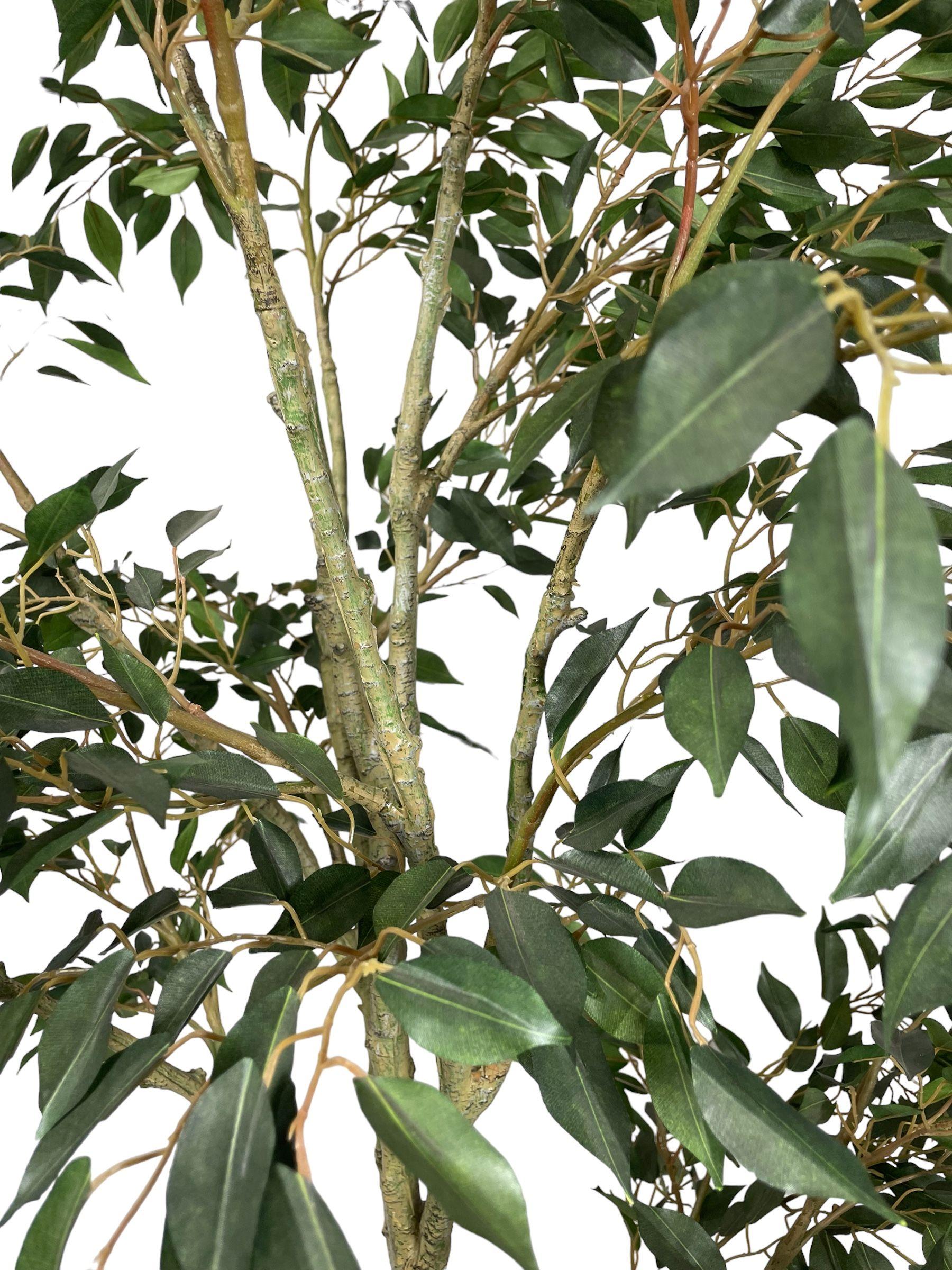 PLANTA DECORATIVA COREL ARBOL DE FICUS HOJA CHICA 168CM-2