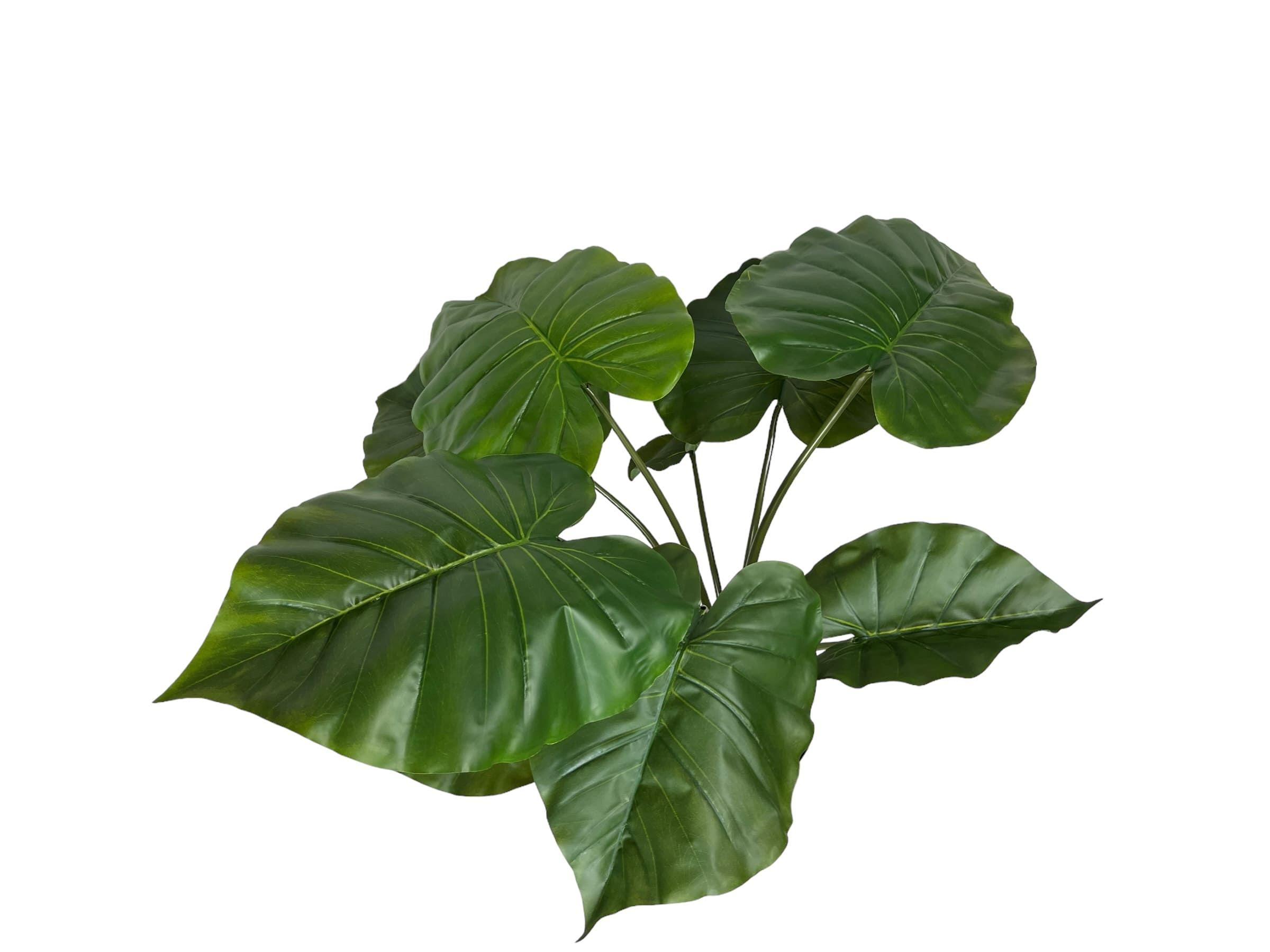 Árbol Artificial Manto de Eva 71cm Artificial | Estilo Natural para Interiores y Vitrinas-3