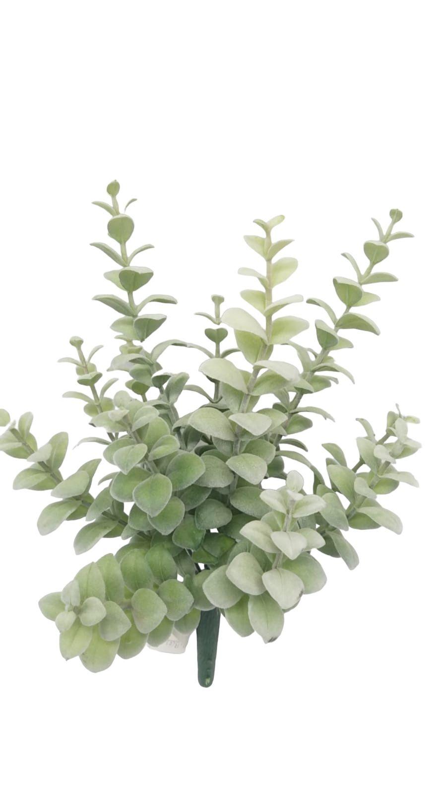Arbusto Money Gris-1