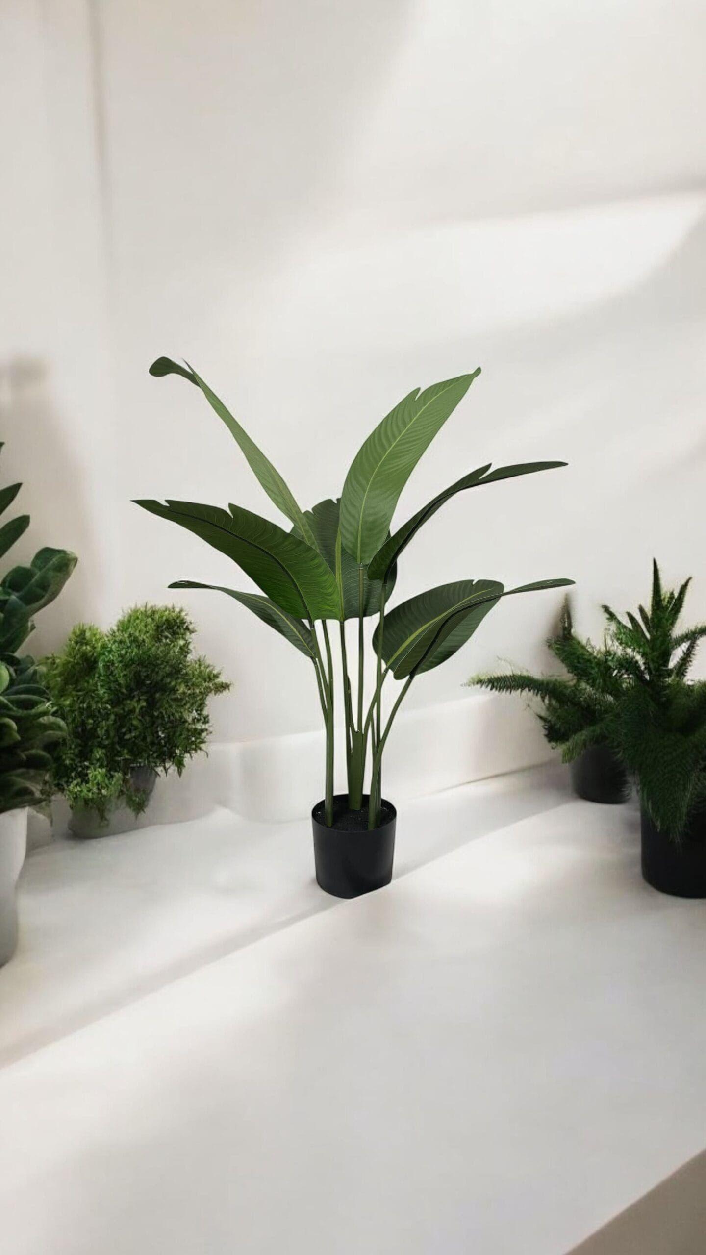 Strelitzia 90cm Artificial | Estilo Natural para Interiores y Vitrinas-2