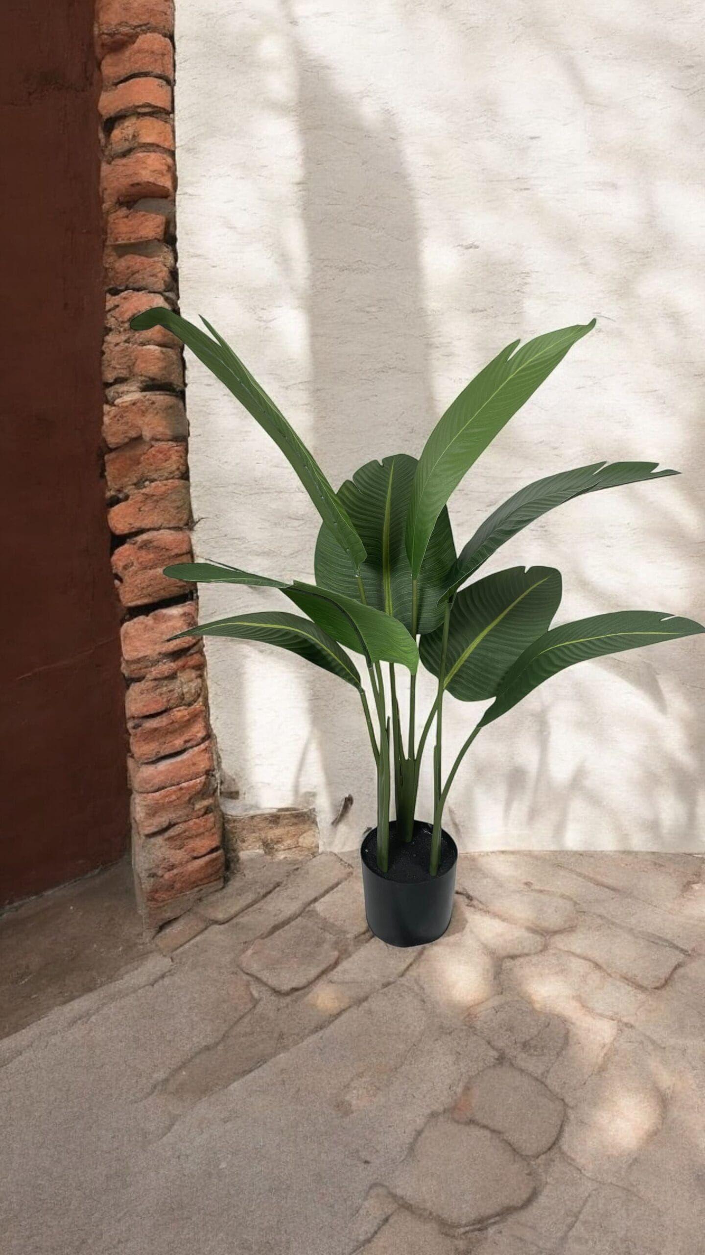 Strelitzia 90cm Artificial | Estilo Natural para Interiores y Vitrinas-3