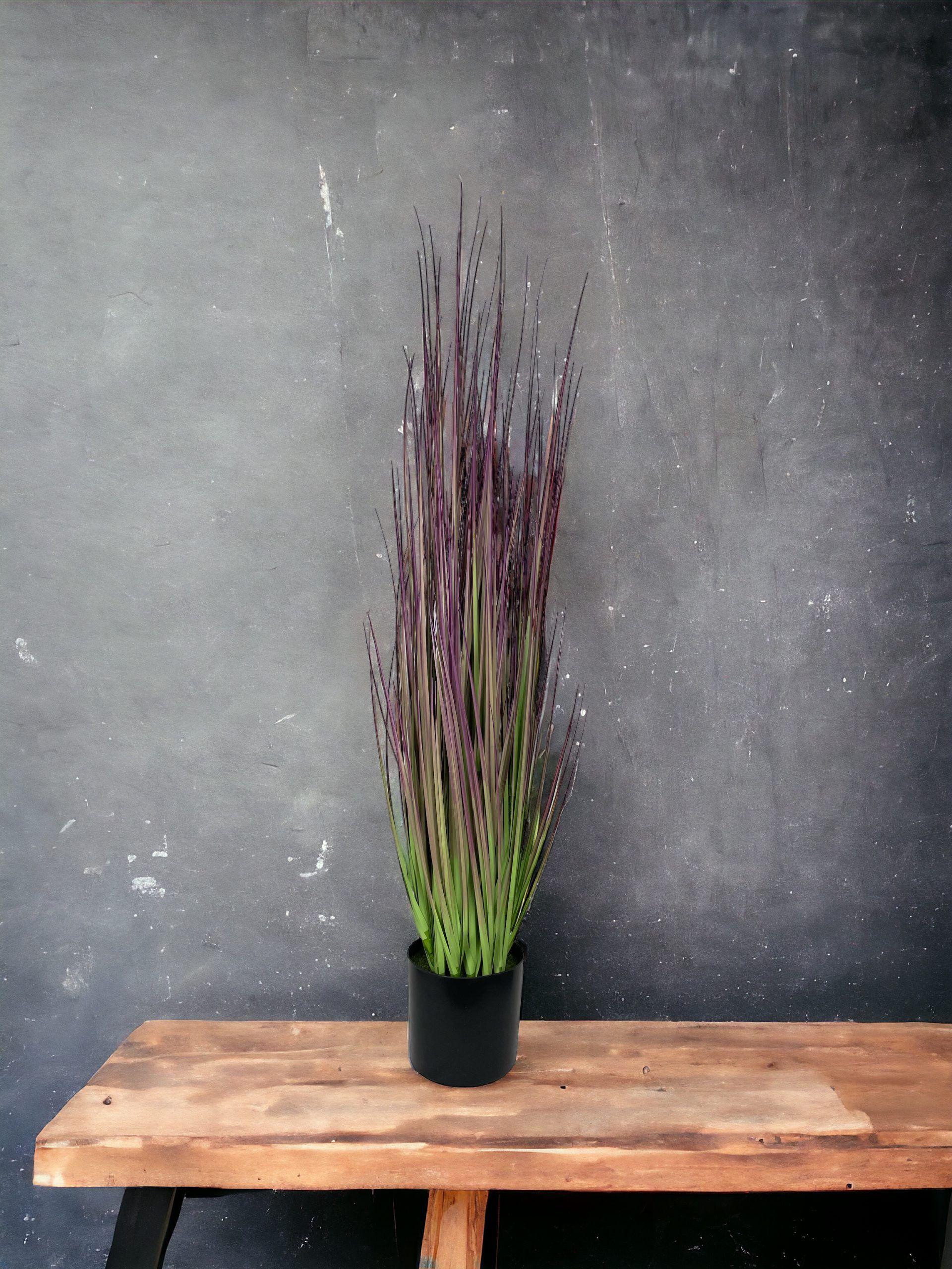 Pasto Cebolla Morado 91cm-2