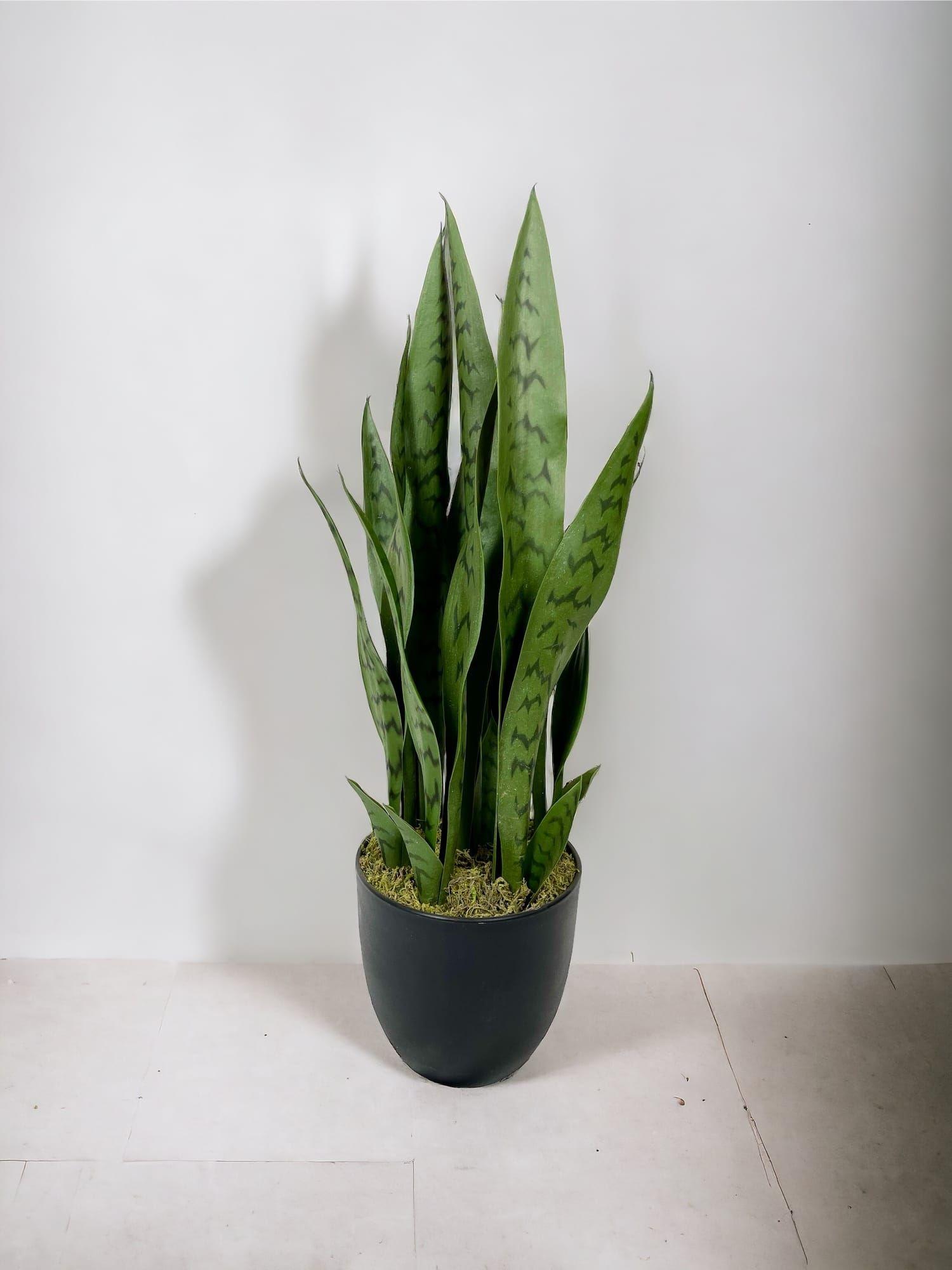 Sanseviera Verde de 69cm Artificial | Estilo Natural para Interiores y Vitrinas-2