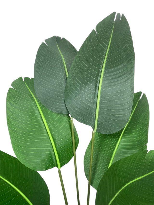 Strelitzia 160cm Artificial | Estilo Natural para Interiores y Vitrinas-2