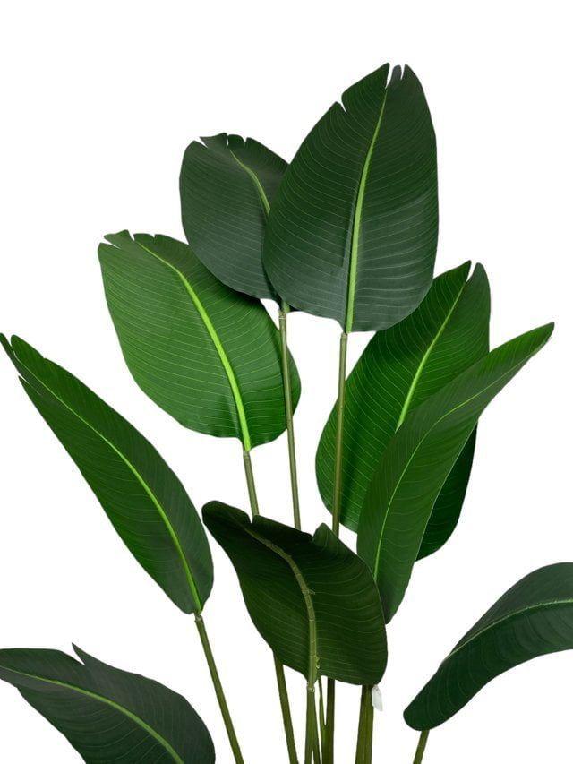 Strelitzia 160cm Artificial | Estilo Natural para Interiores y Vitrinas-3