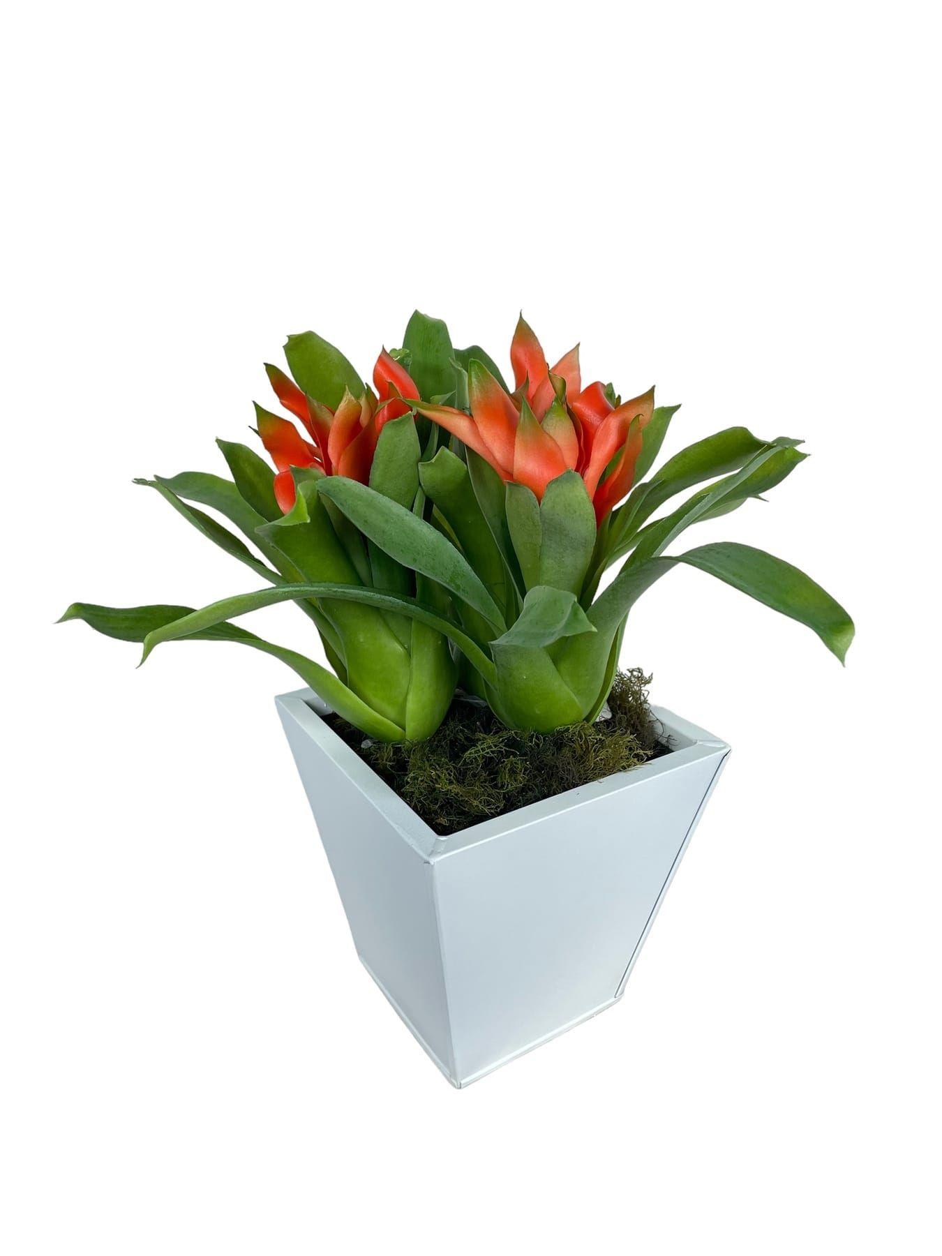 Rama Artificial Flor De Jengibre 30cm Artificial | Estilo Natural para Interiores y Vitrinas-2