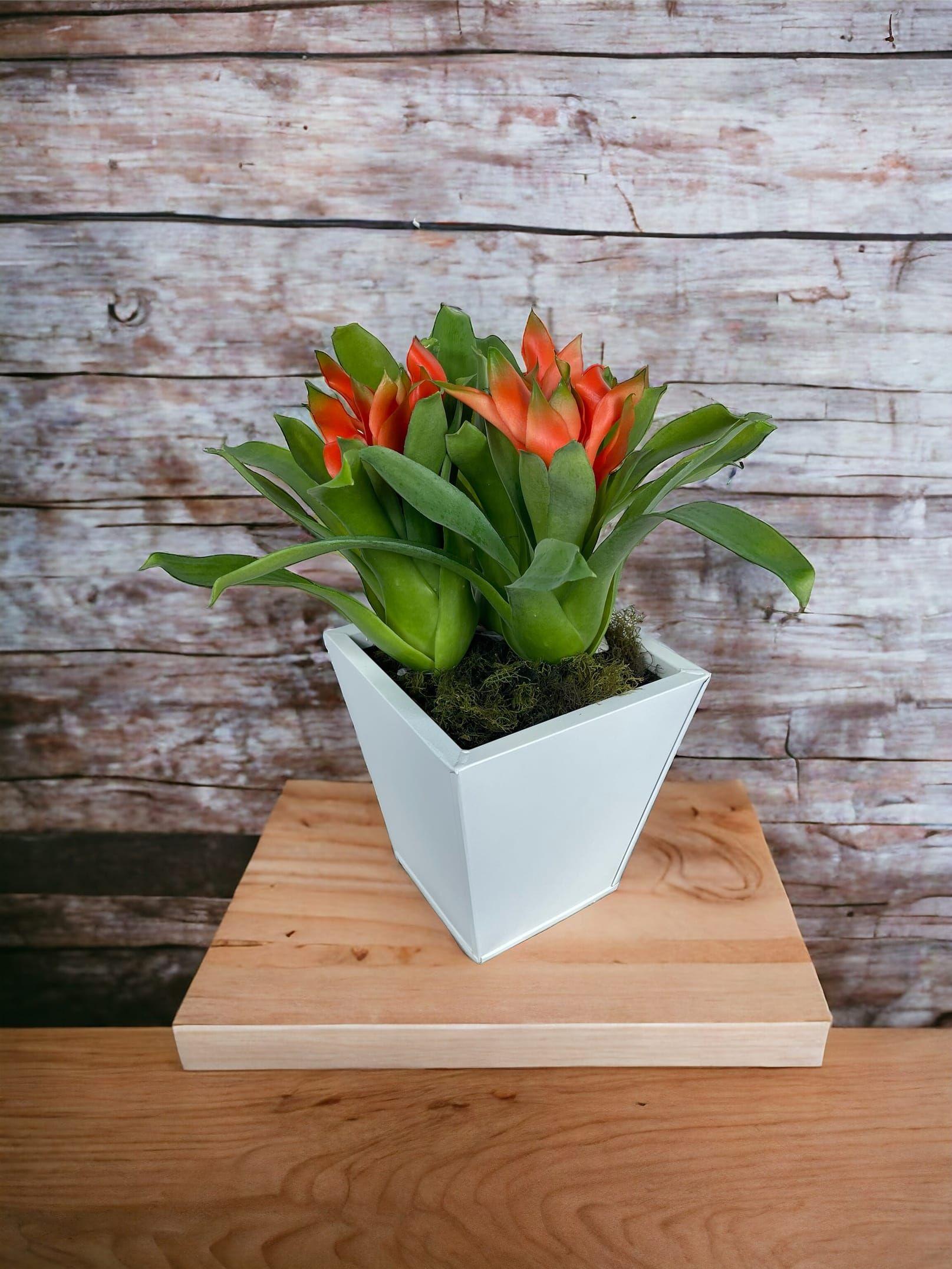 Rama Artificial Flor De Jengibre 30cm Artificial | Estilo Natural para Interiores y Vitrinas-3