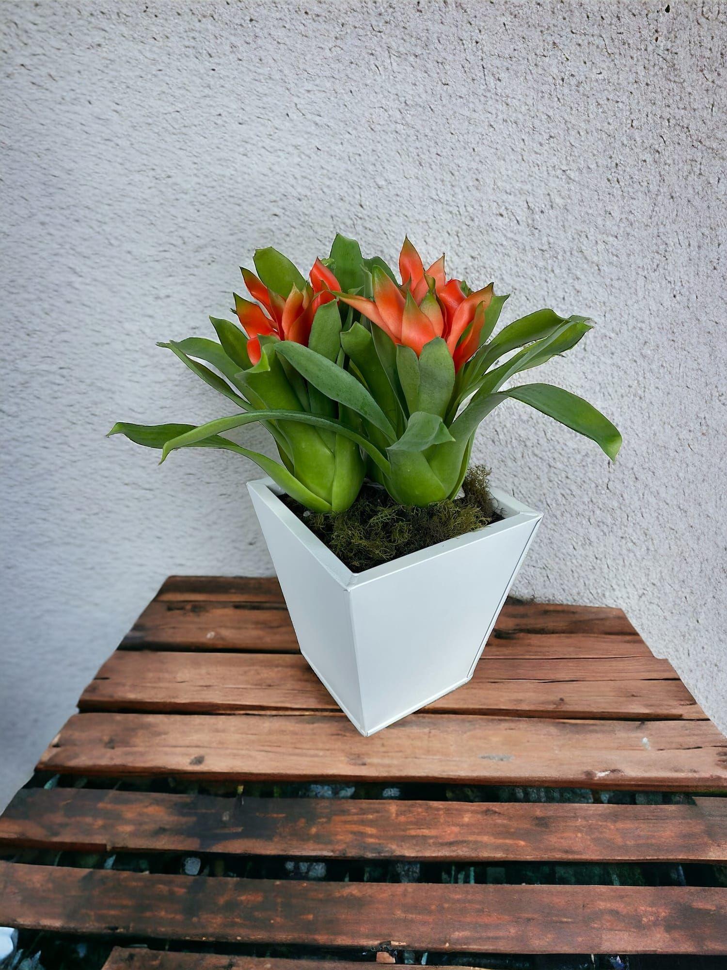 Rama Artificial Flor De Jengibre 30cm Artificial | Estilo Natural para Interiores y Vitrinas-4