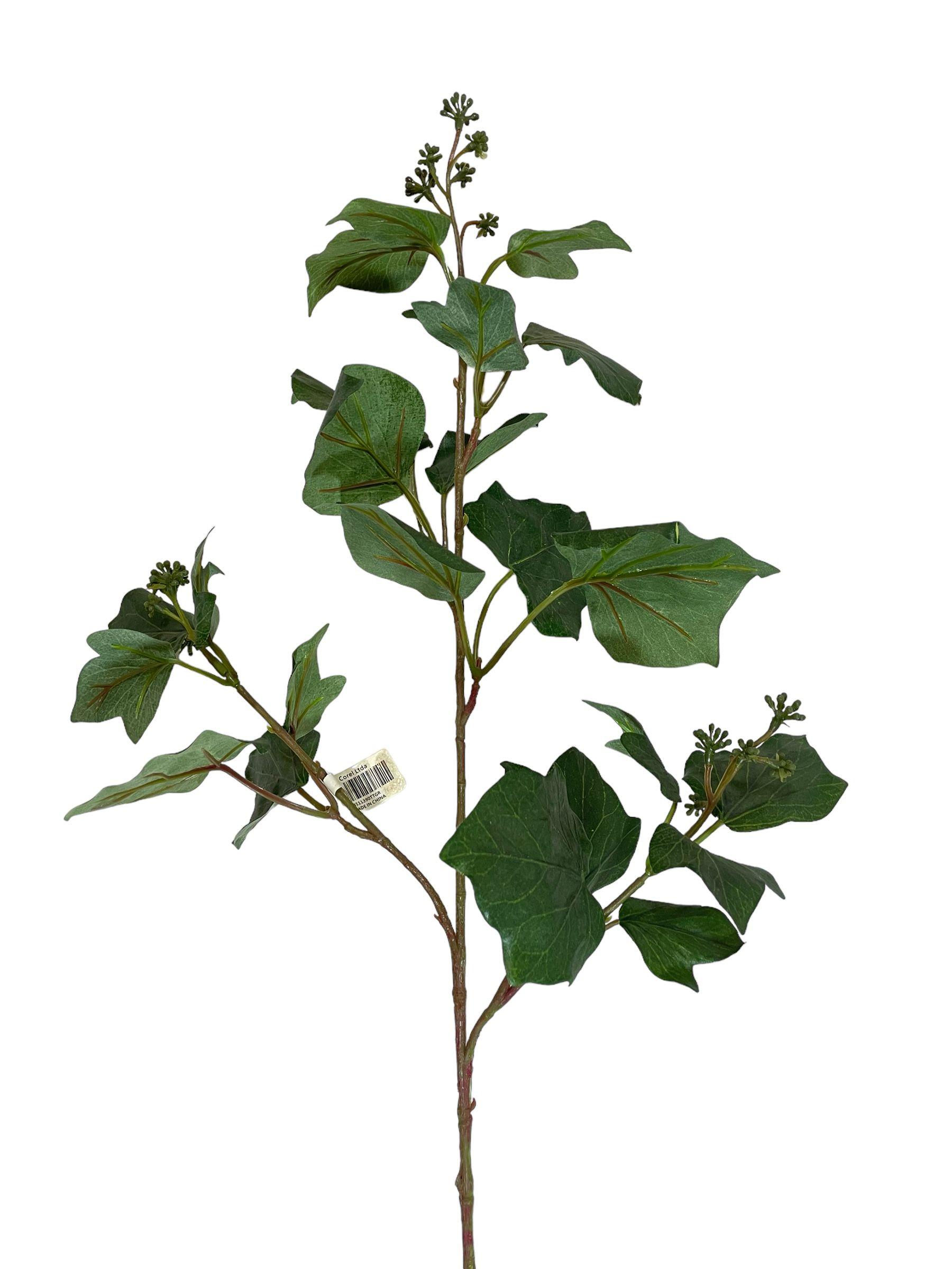 Rama French Ivy 60cm-2