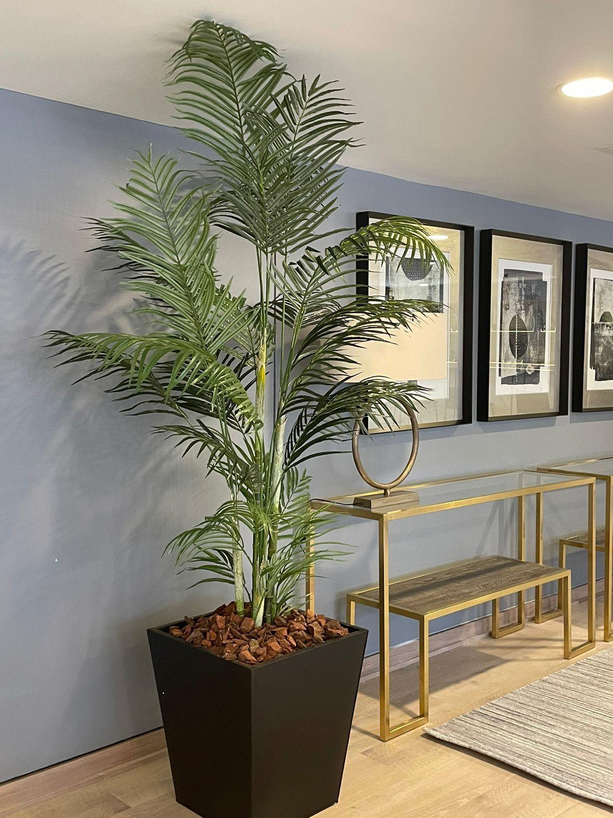 Planta Decorativa Palmera Areca 210 Cm-3