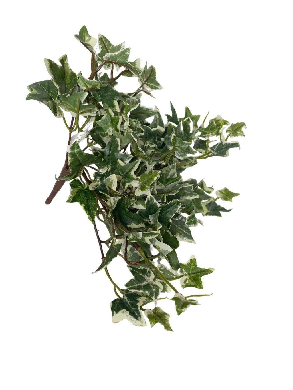 Mini Hiedra Inglesa Variegada 30cm Artificial | Estilo Natural para Interiores y Vitrinas-2