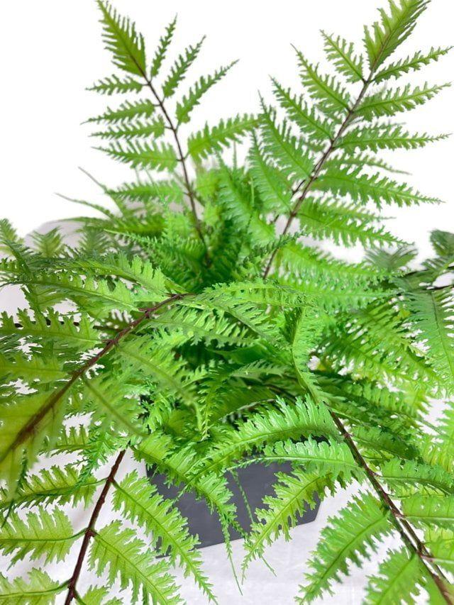 Arreglo De Helecho Pluma Artificial | Estilo Natural para Interiores y Vitrinas-2