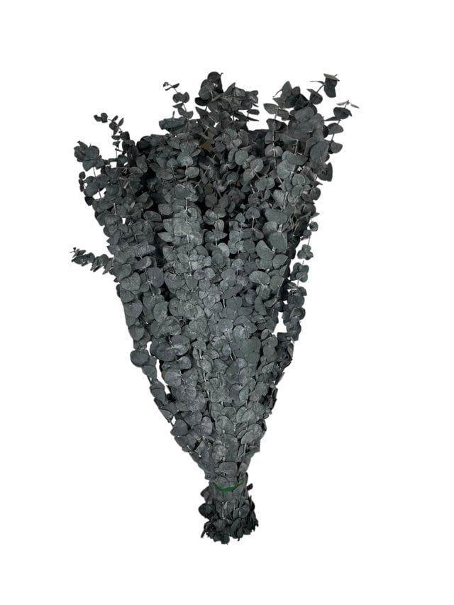 Ramo de Eucalipto Seco Verde Artificial | Estilo Natural para Interiores y Vitrinas-3