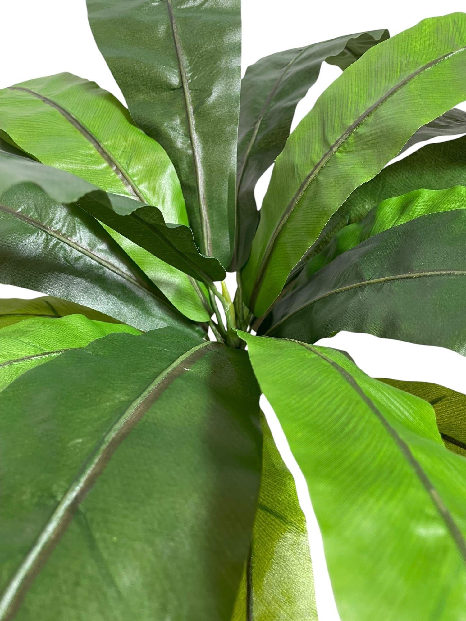 Helecho Nido De Pájaro 53cm Artificial | Estilo Natural para Interiores y Vitrinas-2