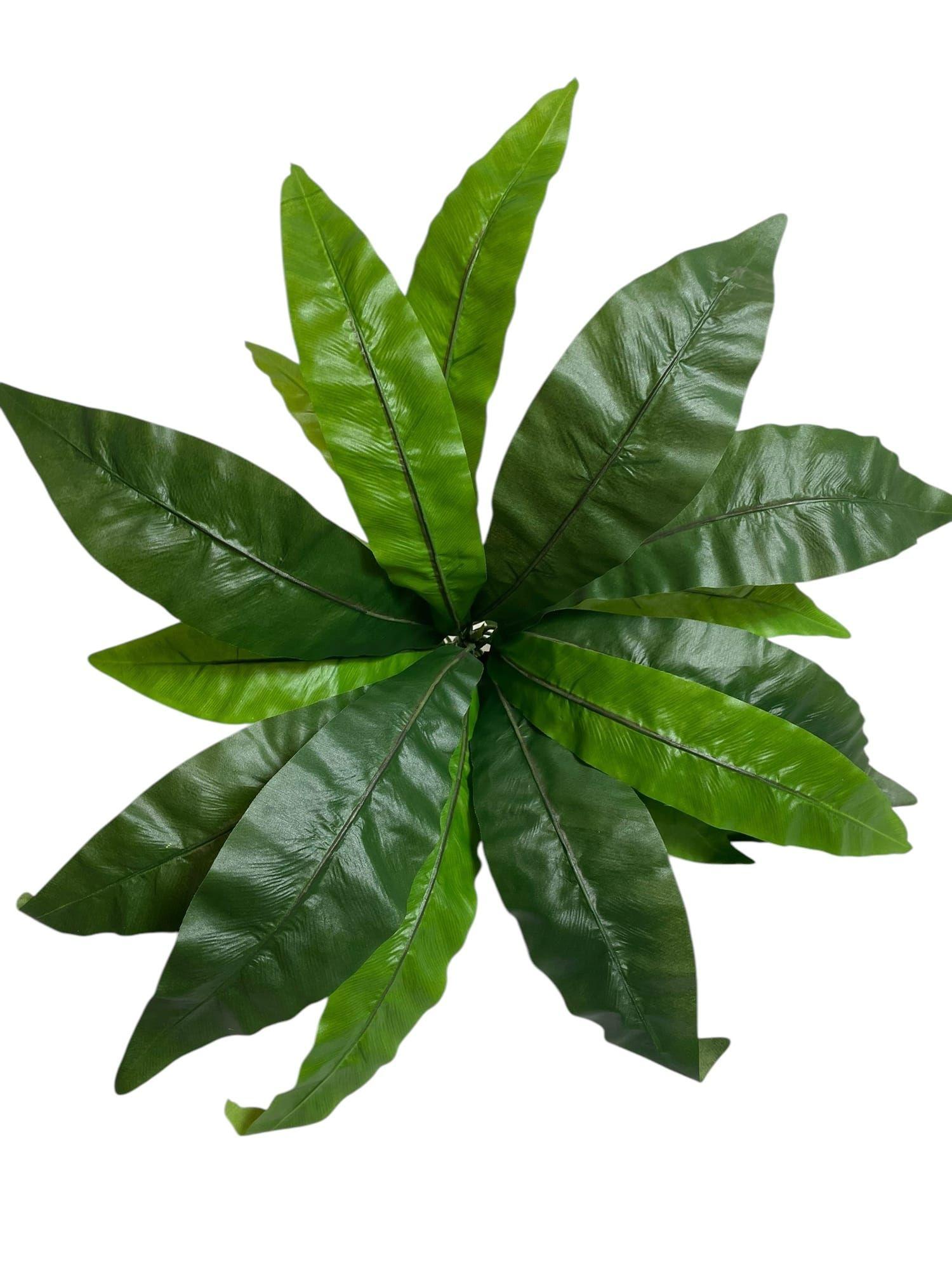 Helecho Nido De Pájaro 53cm Artificial | Estilo Natural para Interiores y Vitrinas-3