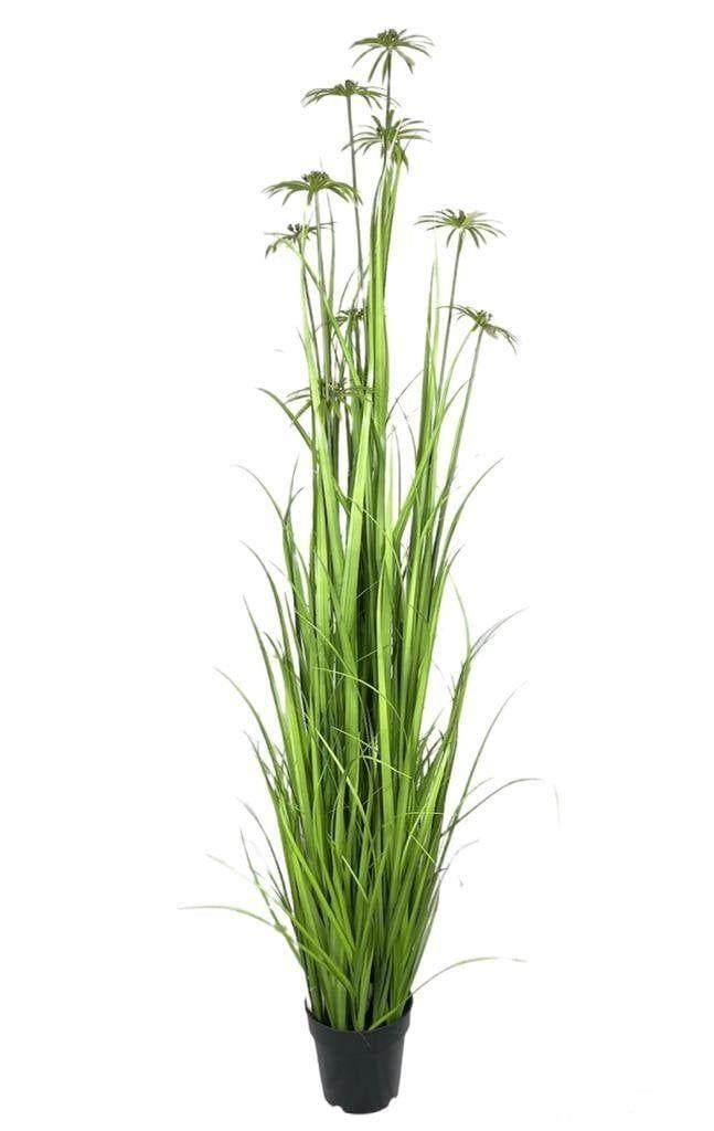Pasto Papiro 182cm Artificial | Estilo Natural para Interiores y Vitrinas-2