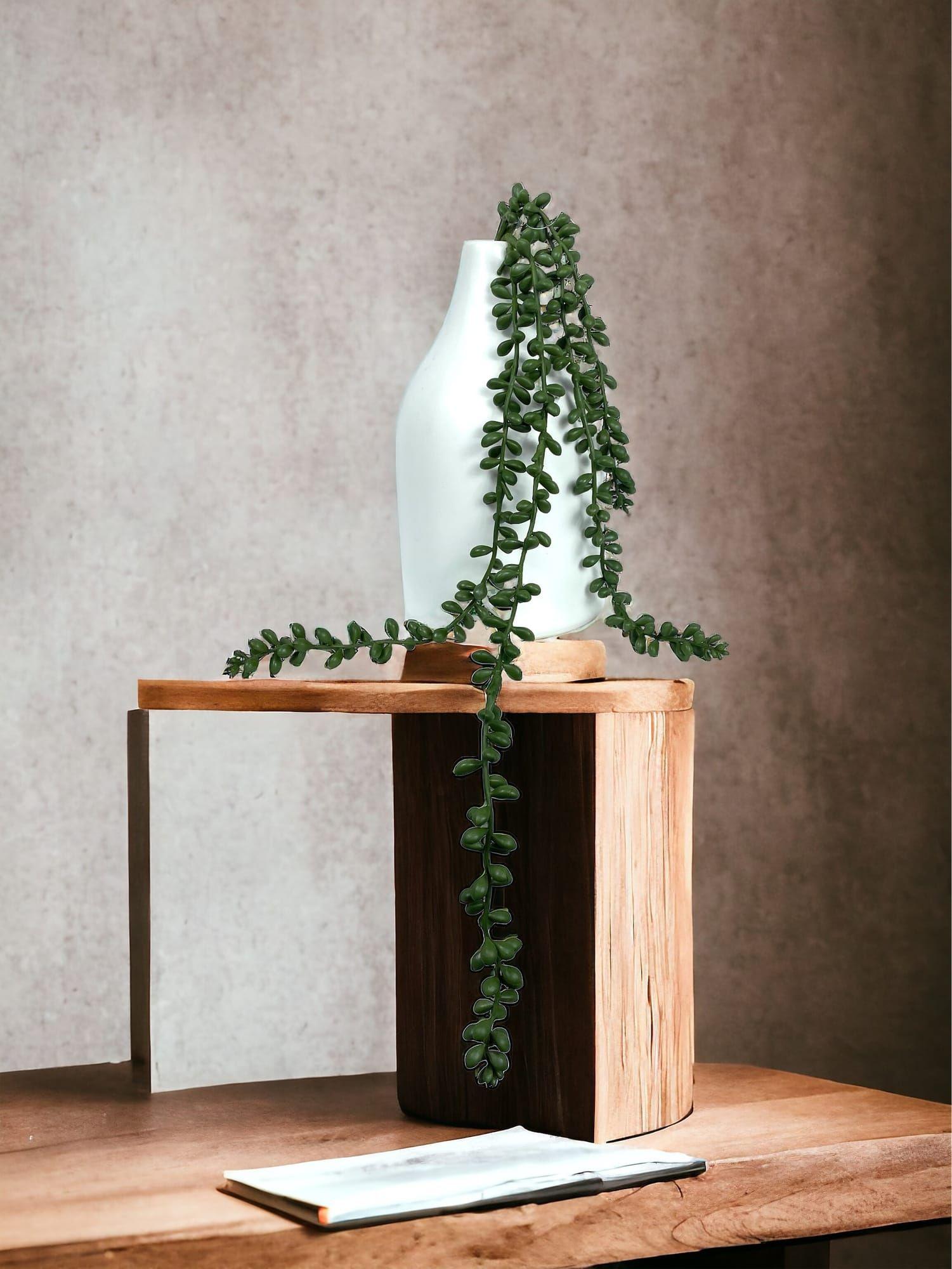 Suculenta Rosario 48cm Artificial | Estilo Natural para Interiores y Vitrinas-3