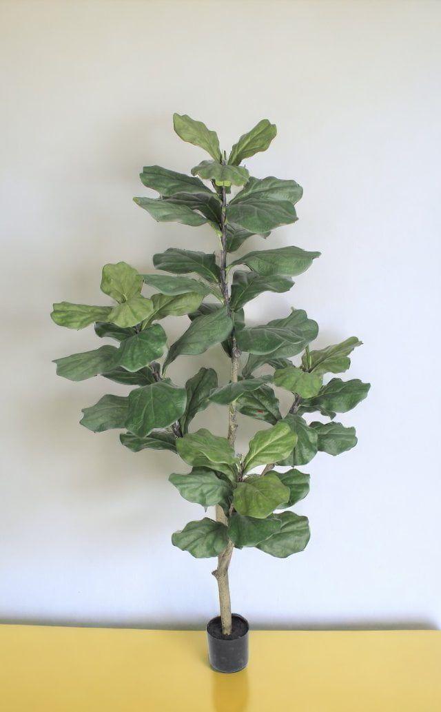 Árbol Artificial Ficus Lyrata 150cm Artificial | Estilo Natural para Interiores y Vitrinas-2
