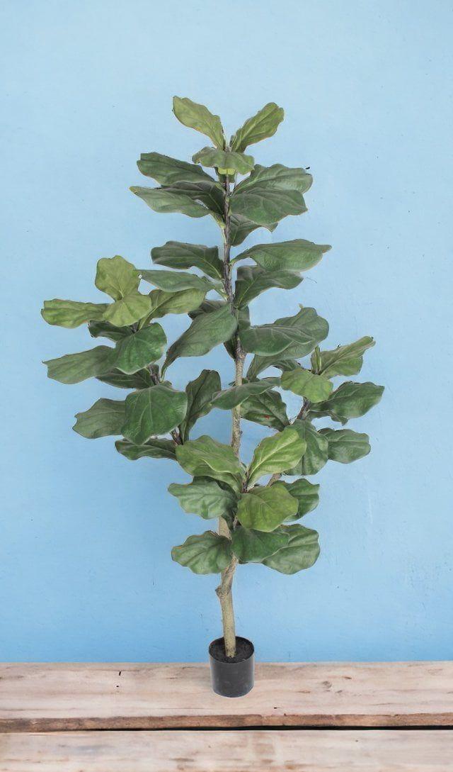 Árbol Artificial Ficus Lyrata 150cm Artificial | Estilo Natural para Interiores y Vitrinas-3