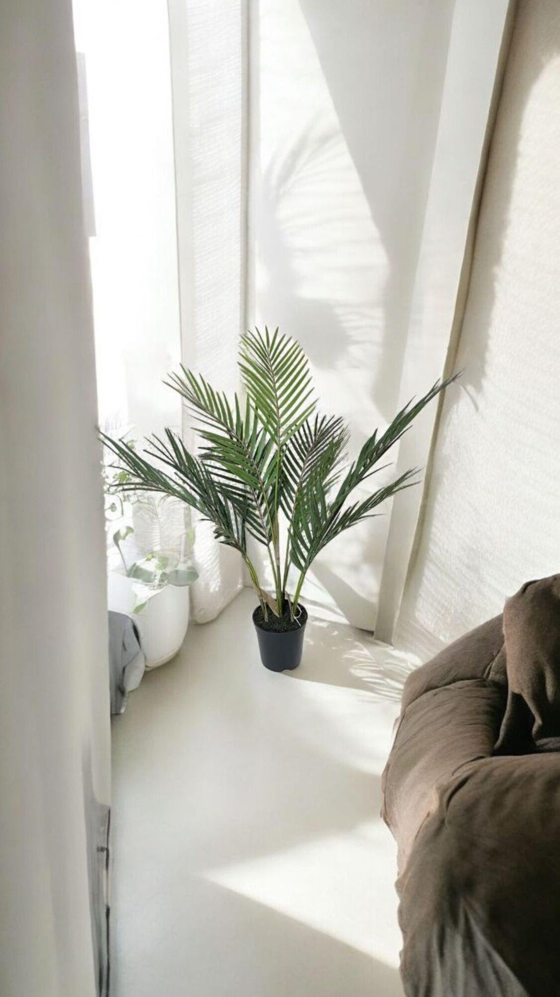 Areca Hoja Fina 71 cm Artificial | Estilo Natural para Interiores y Vitrinas-2