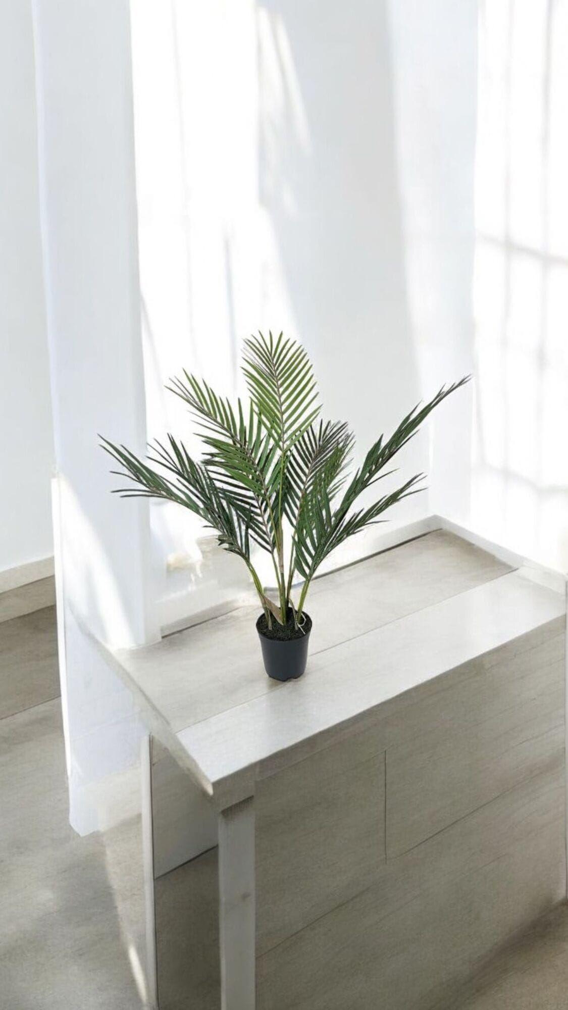 Areca Hoja Fina 71 cm Artificial | Estilo Natural para Interiores y Vitrinas-3