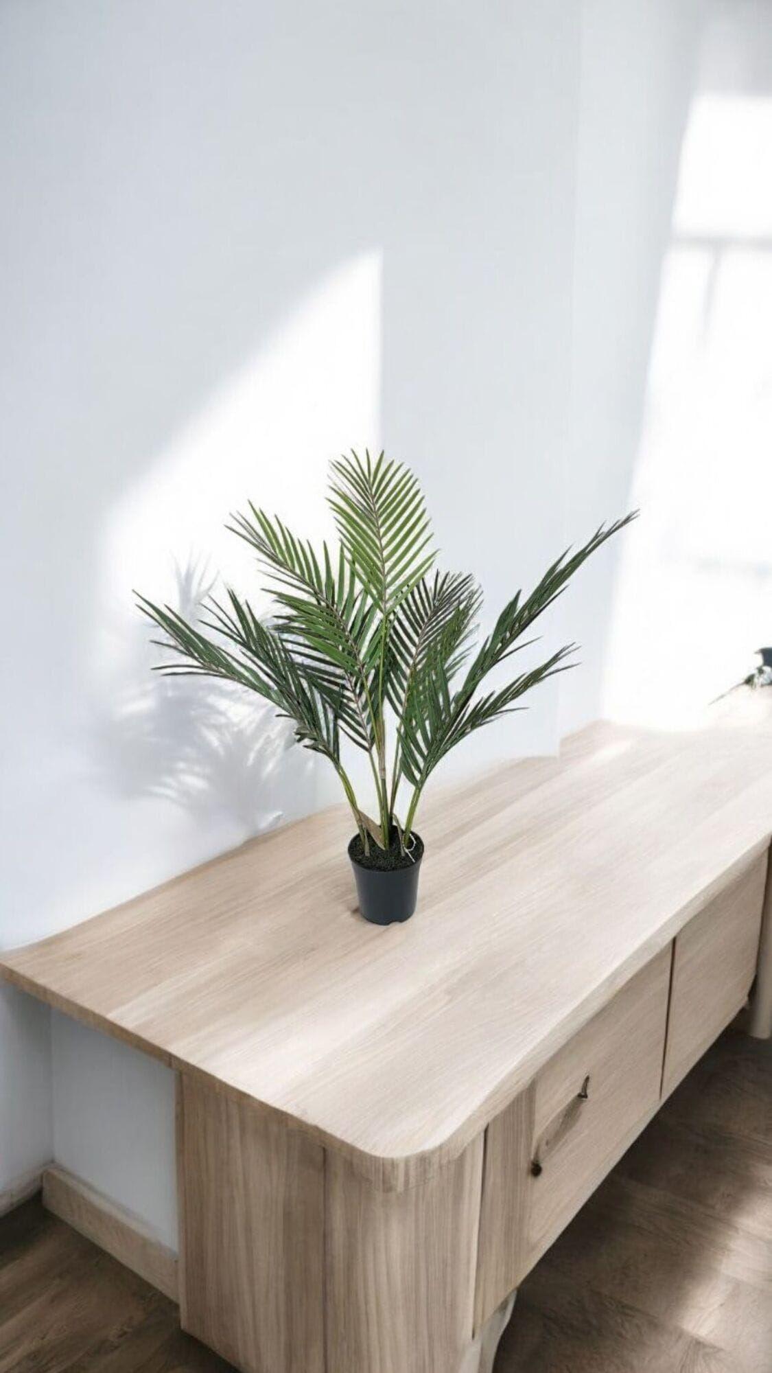 Areca Hoja Fina 71 cm Artificial | Estilo Natural para Interiores y Vitrinas-4