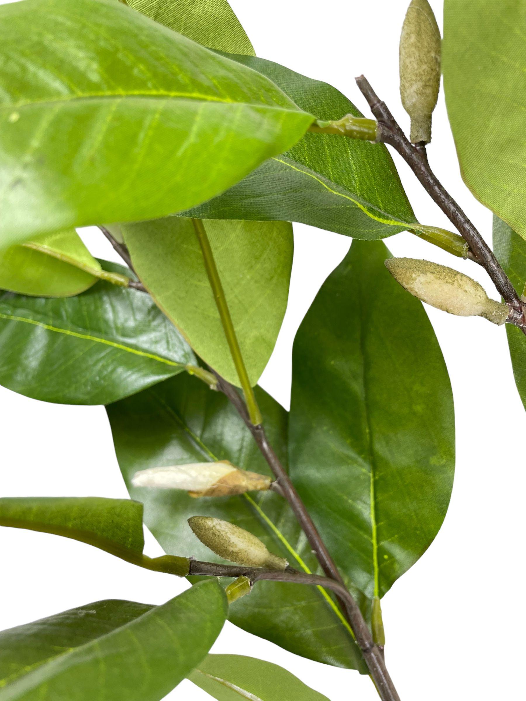 Rama Magnolia Verde 104Cm-2