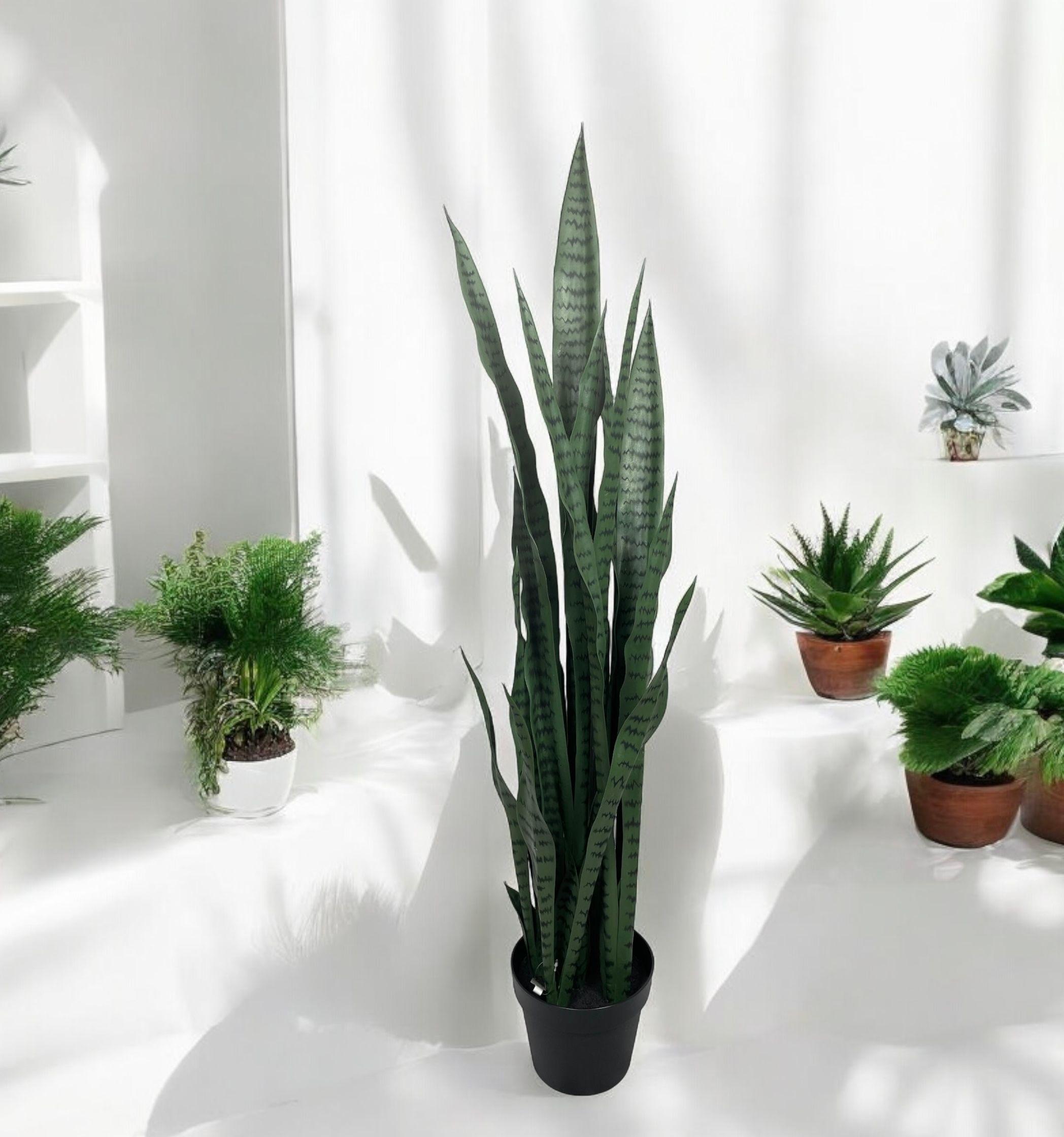 Planta Decorativa Sansevieria Verde 112cm-0