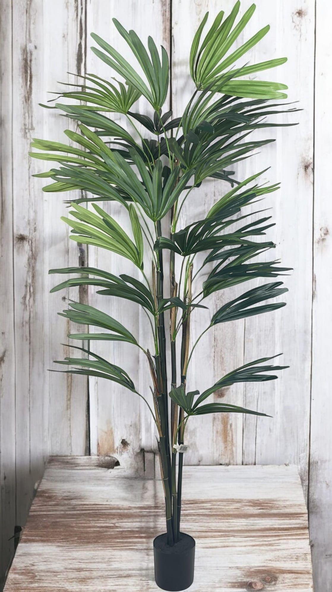 Palmera Raphis 150cm Artificial | Estilo Natural para Interiores y Vitrinas-4