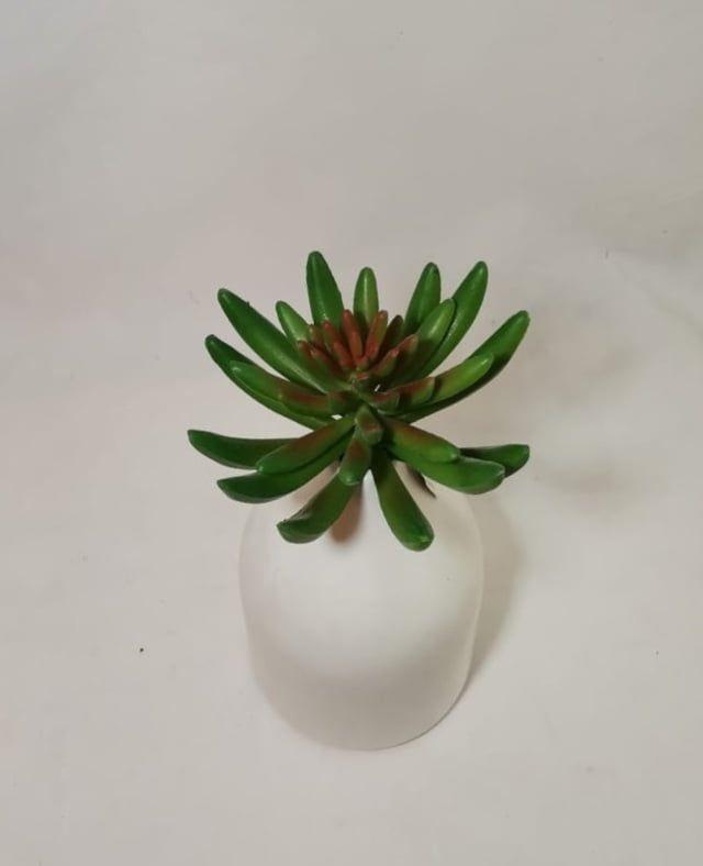 Suculenta Verde 13cm Artificial | Estilo Natural para Interiores y Vitrinas-2
