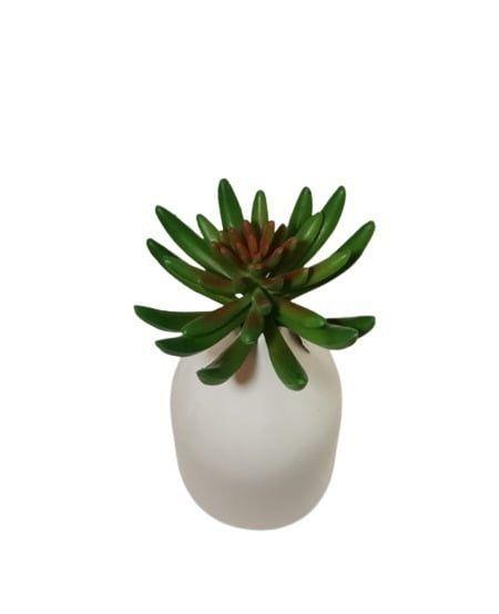 Suculenta Verde 13cm Artificial | Estilo Natural para Interiores y Vitrinas-3