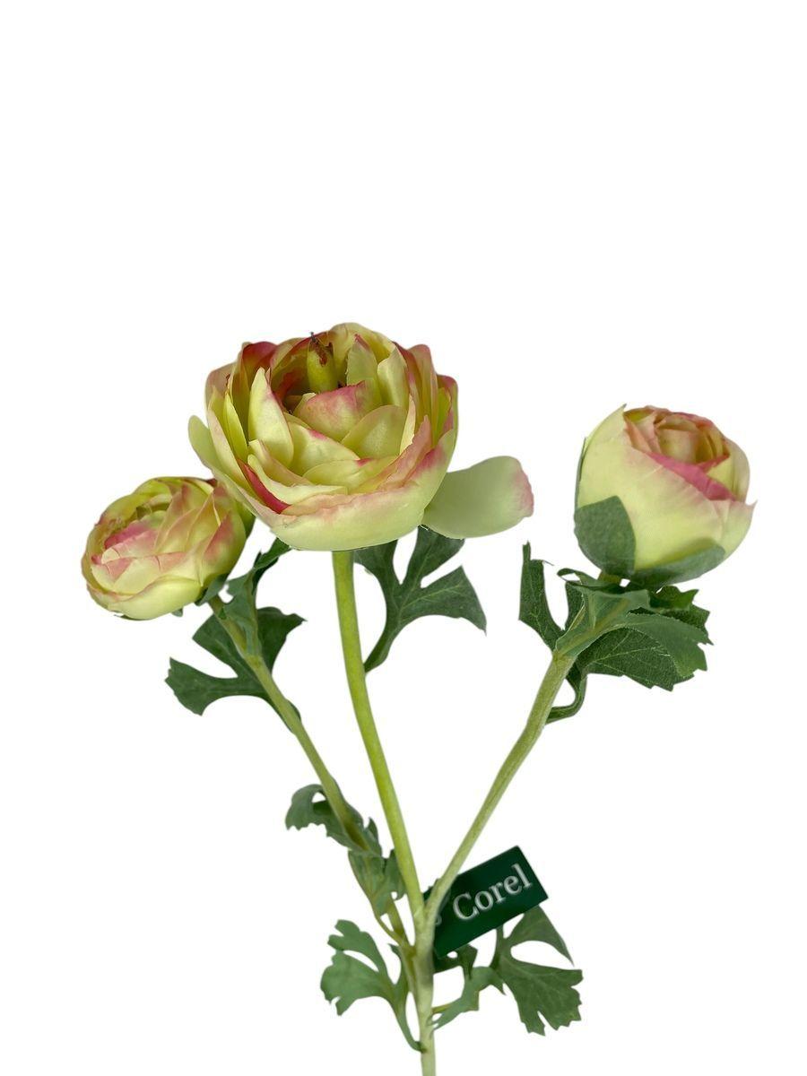 Ranúnculo Verde Rosa 73cm Con Textura Realista-1